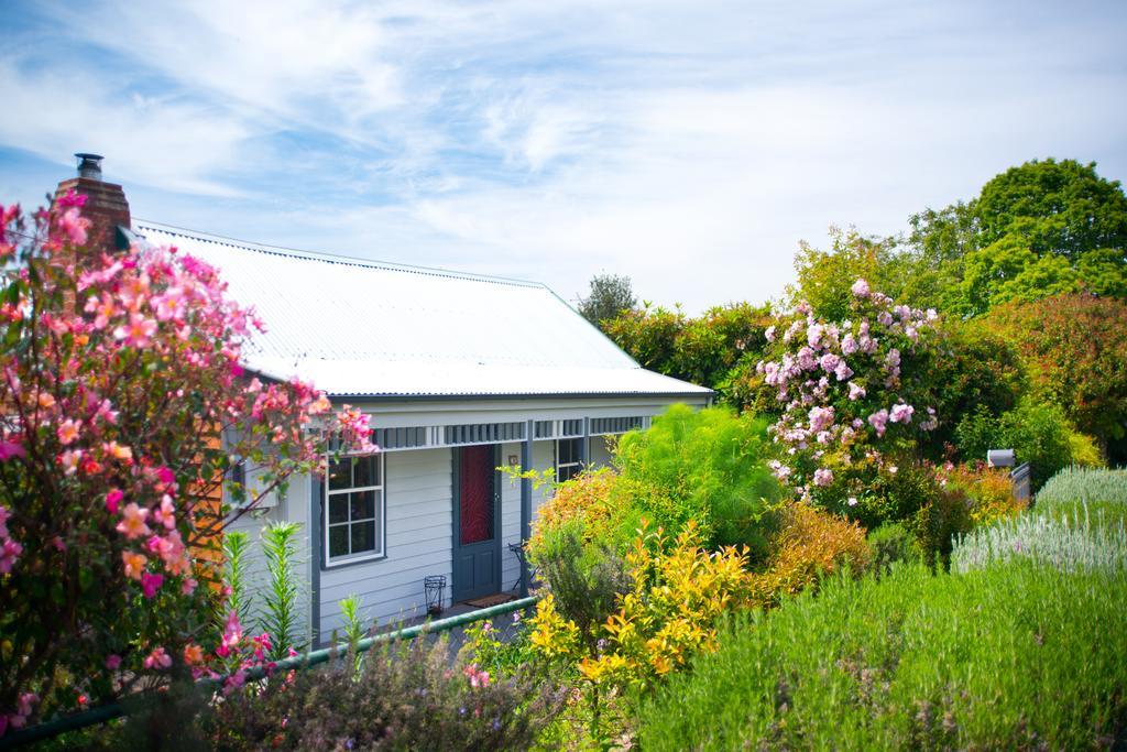 Fortuna Cottage Daylesford Exteriör bild
